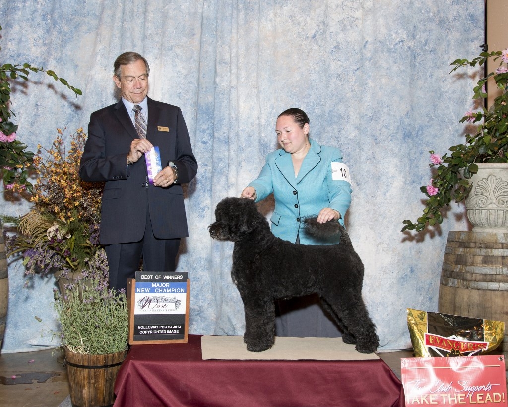 New CH – Wine Country KC Sun 11-2013